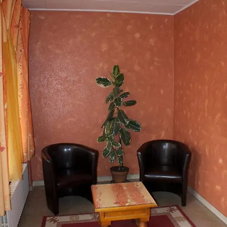 Hotel Le Lyon Bron